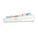 TECLADO AULA F87 PRO V2 | INGLES | SW - KAILH ICE CREAM PRO | INALAMBRICO | RGB | DYE SUBLIMATE