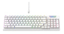 TECLADO HAVIT KB885L | ESP | MECANICO | SW-RED | RGB | BLANCO
