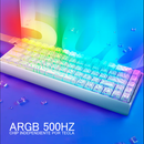 TECLADO MAGNÉTICO 8K IROK MERCURY 68 | CAROTMAS MER68 | SW-PURPLE | RGB | CABLEADO | BLANCO