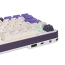 TECLADO ROYAL KLUDGE RK-S98 | ESPAÑOL | INALAMBRICO| SW-CHARTREUSE | RGB | BLACKBERRY | (6 MESES)