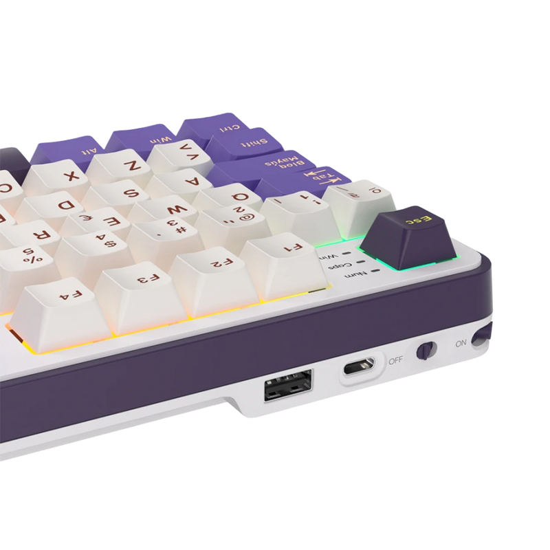 TECLADO ROYAL KLUDGE RK-S98 | ESPAÑOL | INALAMBRICO| SW-CHARTREUSE | RGB | BLACKBERRY | (6 MESES)