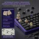 TECLADO ROYAL KUDGE RK X87 | ESPAÑOL | CABLEADO | MECANICO | SW-CREAMY| BLACKBERRY MOUSSE