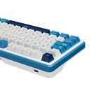 TECLADO ROYAL KUDGE RK X87 | ESPAÑOL | CABLEADO | MECANICO | SW-CREAMY | RGB | AZUL