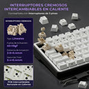 TECLADO ROYAL KUDGE RK X87 | ESPAÑOL | CABLEADO | MECANICO | SW-CREAMY | RGB | BLACK NIGHT